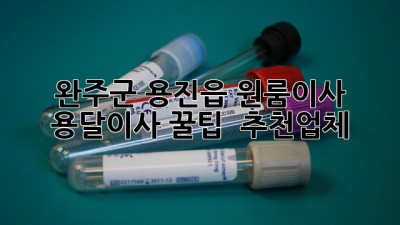 완주군 용진읍 원룸이사, 용달이사 꿀팁🍯 & 추천업체 👍